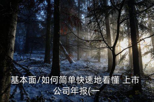 基本面/如何簡(jiǎn)單快速地看懂 上市 公司年報(bào)(一