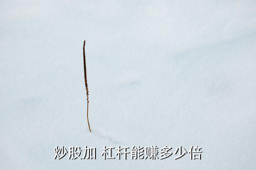 炒股加 杠桿能賺多少倍