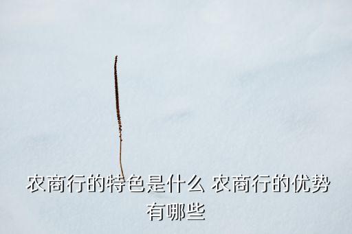  農商行的特色是什么 農商行的優(yōu)勢有哪些