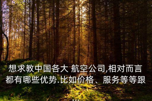 想求教中國各大 航空公司,相對(duì)而言都有哪些優(yōu)勢(shì).比如價(jià)格、服務(wù)等等跟...