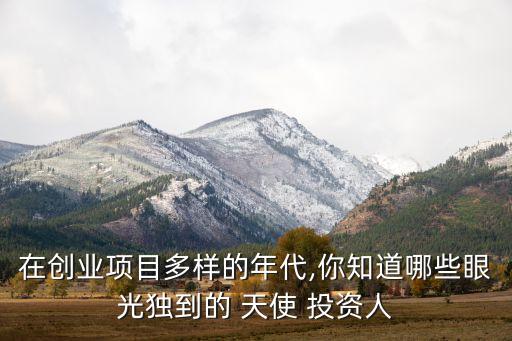 在創(chuàng)業(yè)項目多樣的年代,你知道哪些眼光獨到的 天使 投資人