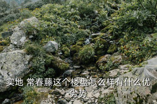 實(shí)地 常春藤這個(gè)樓盤怎么樣有什么優(yōu)劣勢(shì)