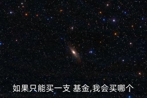 如果只能買一支 基金,我會買哪個