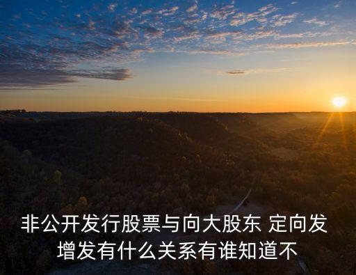 非公開發(fā)行股票與向大股東 定向發(fā) 增發(fā)有什么關(guān)系有誰(shuí)知道不