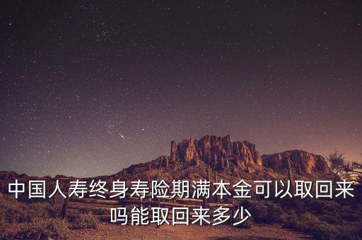 中國人壽保險一年整存整取