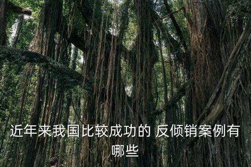 近年來我國(guó)比較成功的 反傾銷案例有哪些