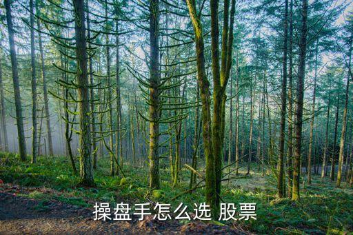 操盤手怎么選 股票