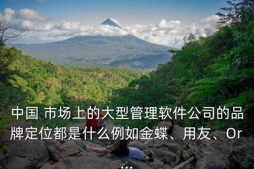 中國 市場上的大型管理軟件公司的品牌定位都是什么例如金蝶、用友、Or...