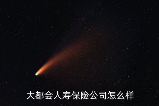  大都會人壽保險(xiǎn)公司怎么樣