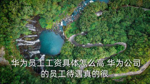 上海華為終端年終獎(jiǎng),華為上海終端業(yè)務(wù)部是做什么的