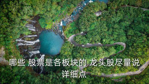 哪些 股票是各板塊的 龍頭股盡量說(shuō)詳細(xì)點(diǎn)