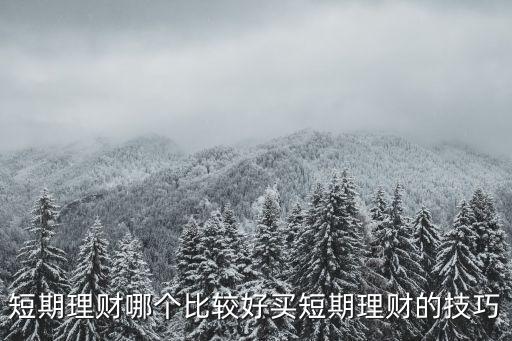 貨幣基金和債券逆回購(gòu),逆回購(gòu)和貨幣基金哪個(gè)收益高