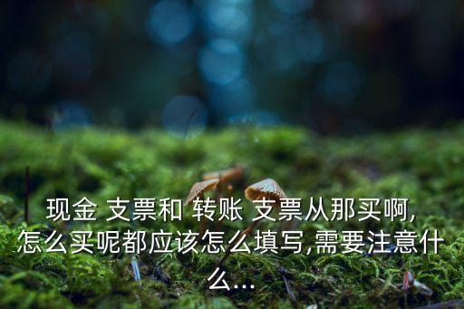中國光大銀行的轉賬支票,光大銀行轉賬支票圖片