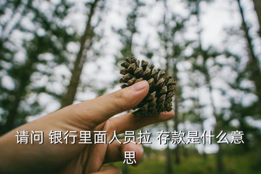 銀行拉存款給工作,銀行工作人員拉存款是什么情況