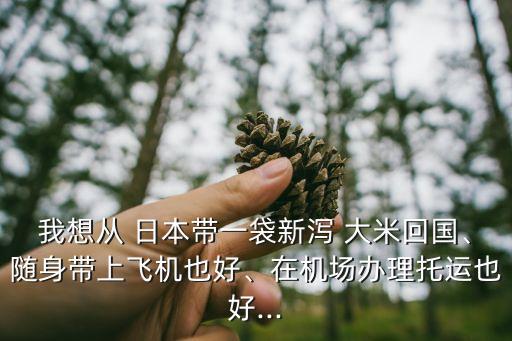 我想從 日本帶一袋新瀉 大米回國、隨身帶上飛機(jī)也好、在機(jī)場(chǎng)辦理托運(yùn)也好...