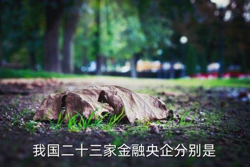 我國(guó)二十三家金融央企分別是