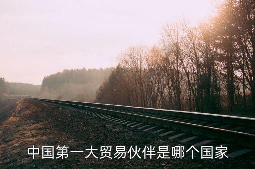 中國第一大貿易伙伴是哪個國家