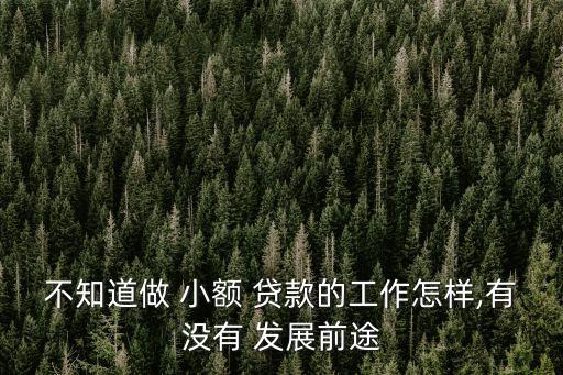 不知道做 小額 貸款的工作怎樣,有沒有 發(fā)展前途