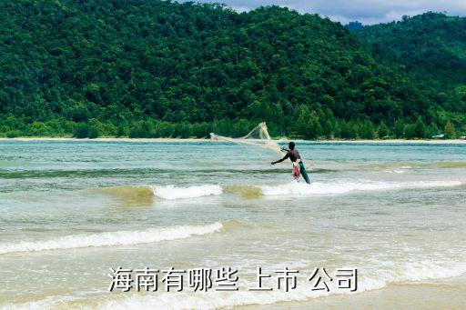 中小板有多少上市公司,中國中小板上市公司價值五十強(qiáng)