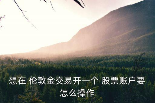 想在 倫敦金交易開(kāi)一個(gè) 股票賬戶(hù)要怎么操作