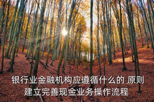 銀行業(yè)金融機構(gòu)應(yīng)遵循什么的 原則建立完善現(xiàn)金業(yè)務(wù)操作流程