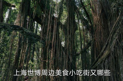 上海滿蘇實(shí)業(yè)有限公司,上海蘇觀實(shí)業(yè)有限公司