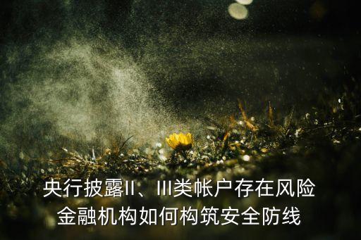 央行披露II、III類帳戶存在風(fēng)險(xiǎn)金融機(jī)構(gòu)如何構(gòu)筑安全防線