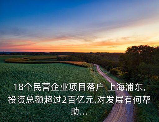 18個(gè)民營(yíng)企業(yè)項(xiàng)目落戶 上海浦東,投資總額超過2百億元,對(duì)發(fā)展有何幫助...