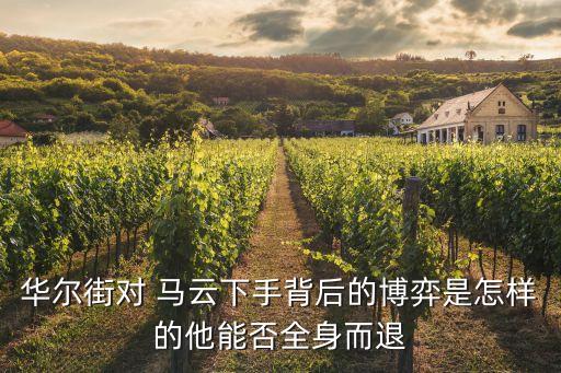 馬云投資政府,阿里巴巴是馬云的還是政府的