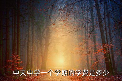 中天中學(xué)一個(gè)學(xué)期的學(xué)費(fèi)是多少