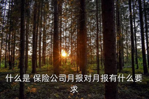 保險(xiǎn)公司的報(bào)表
