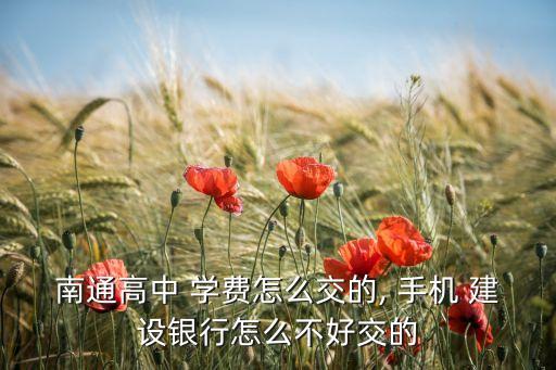 南通高中 學(xué)費怎么交的, 手機 建設(shè)銀行怎么不好交的