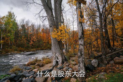 股份有限公司股東會(huì)職權(quán)