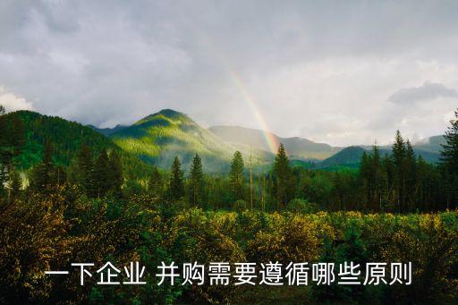 一下企業(yè) 并購(gòu)需要遵循哪些原則