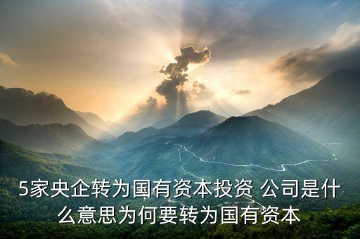 國投五分公司,國投公司主要經營是什么