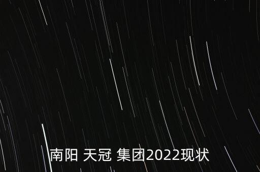 南陽(yáng) 天冠 集團(tuán)2022現(xiàn)狀
