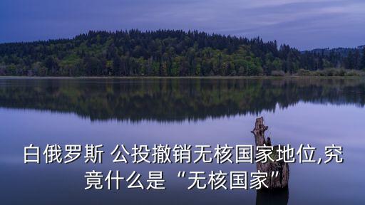 白俄羅斯 公投撤銷(xiāo)無(wú)核國(guó)家地位,究竟什么是“無(wú)核國(guó)家”