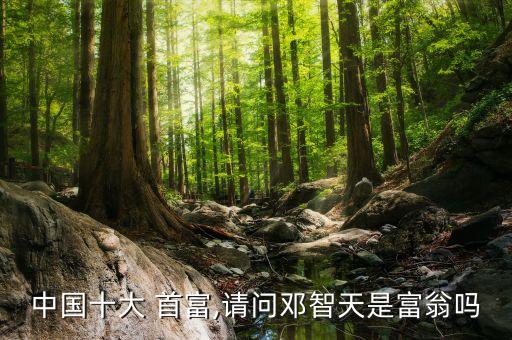 中國十大 首富,請問鄧智天是富翁嗎