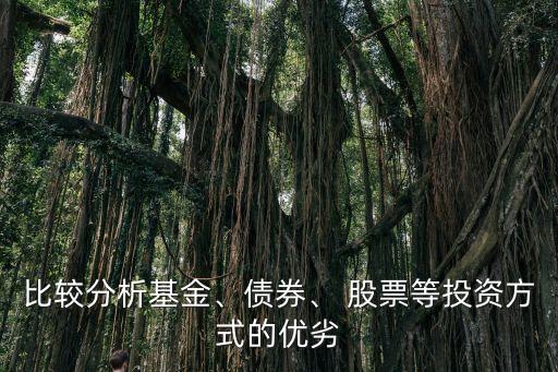 比較分析基金、債券、 股票等投資方式的優(yōu)劣