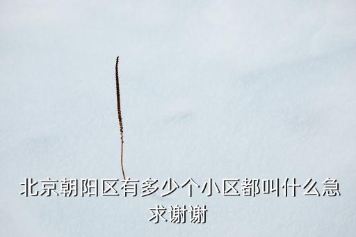 北京國際財經(jīng)中心虛擬地址