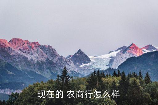 現(xiàn)在的 農商行怎么樣