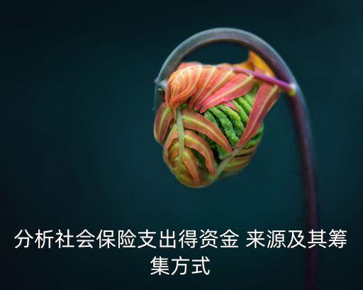 分析社會(huì)保險(xiǎn)支出得資金 來源及其籌集方式