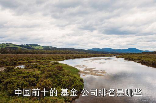 中國有幾家基金公司,中國幾大基金