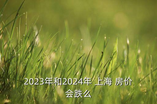 2023年和2024年 上海 房?jī)r(jià)會(huì)跌么