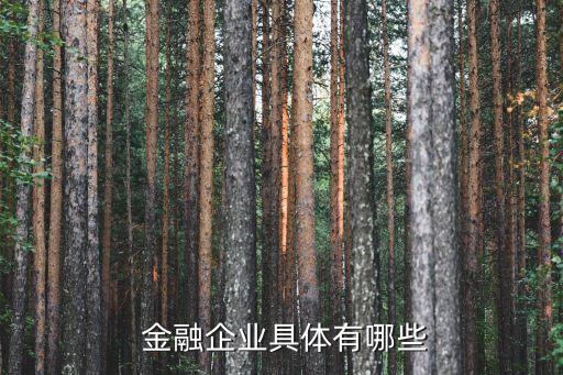 金融租賃公司名錄