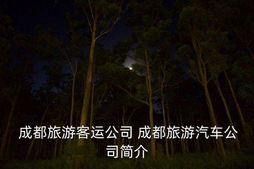  成都旅游客運公司 成都旅游汽車公司簡介