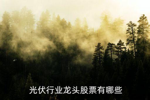  光伏行業(yè)龍頭股票有哪些