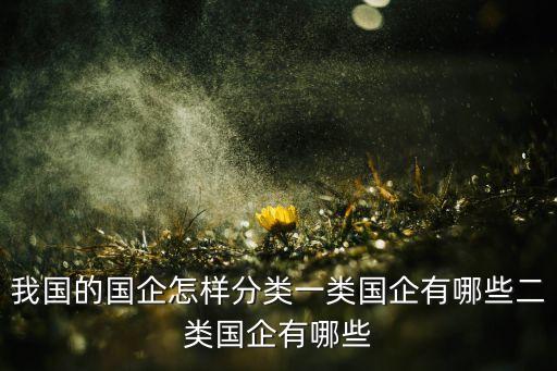 我國的國企怎樣分類一類國企有哪些二類國企有哪些