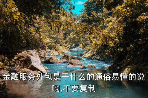 金融服務外包是干什么的通俗易懂的說啊,不要復制