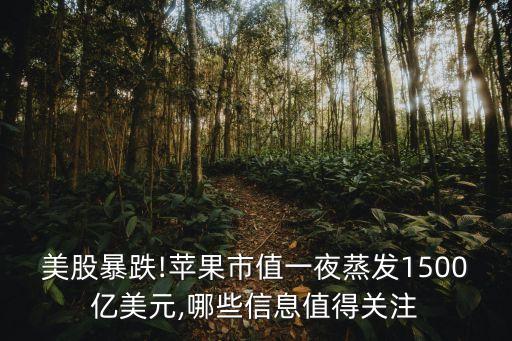 美股暴跌!蘋果市值一夜蒸發(fā)1500億美元,哪些信息值得關(guān)注